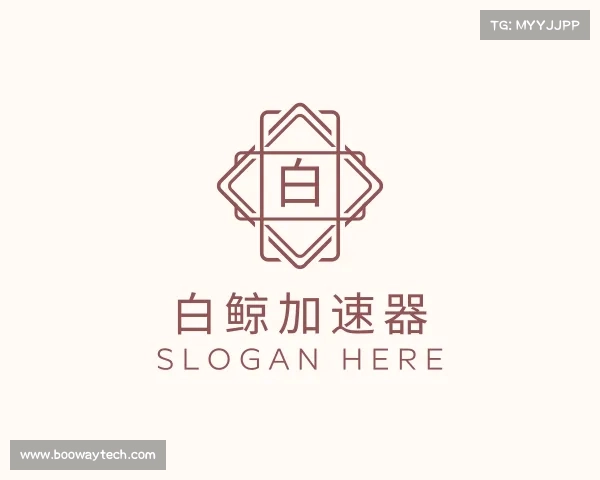 介绍白鲸加速器